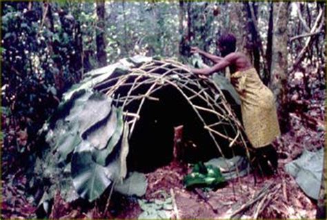 Asunblogs de infantil: La sabana, la selva, tribus africanas.