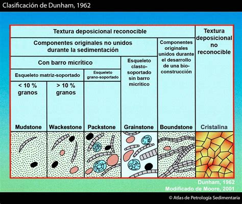 Atlas de Petrología Sedimentaria   Rocas carbonáticas ...