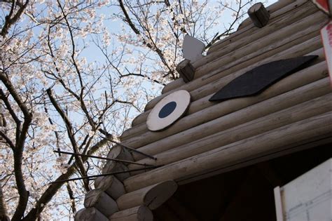 Au japon, il existe la vrai maison dans Totoro des studio ...
