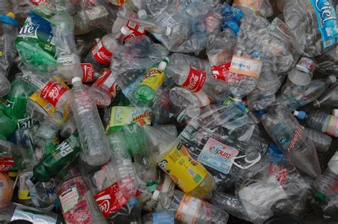 Aumenta el emprendimiento con reciclaje de basura   TecReview