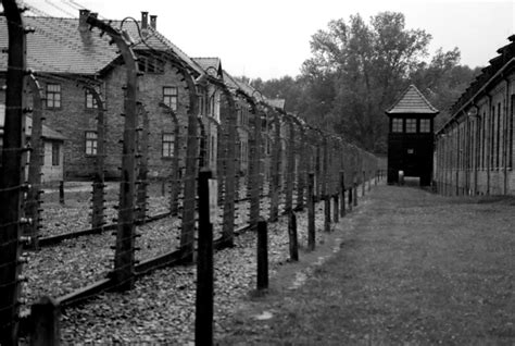 Auschwitz | arkimia