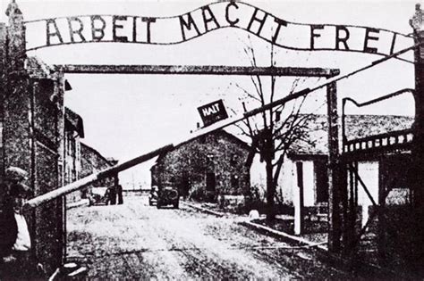 Auschwitz: campo del horror