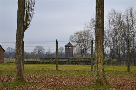 Auschwitz: Nunca más   Janonautas