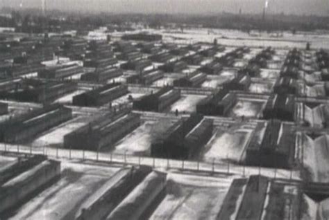 Auschwitz y los campos de concentración