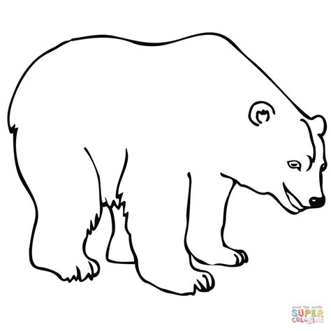 Ausmalbild: Eisbär | Ausmalbilder kostenlos zum ausdrucken