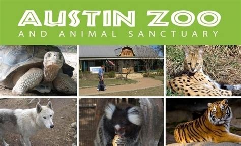 Austin Zoo   Austin, TX | Groupon