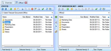 Auto FTP Manager: Â¿QuÃ© es el Administrador de archivos?