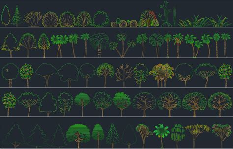 AutoCAD Trees | | Free CAD Blocks And CAD Drawing