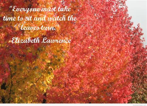 Autumn leaves quotes sayings with backgrounds