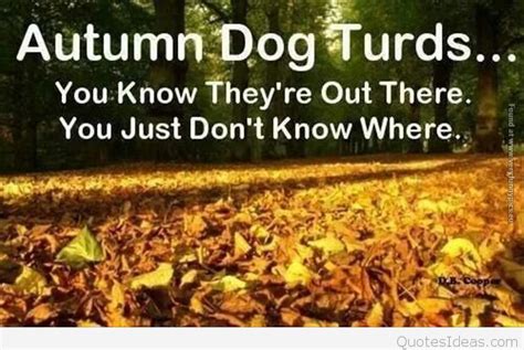 Autumn quotes, hello autumn quotes, sayings, wallpapers