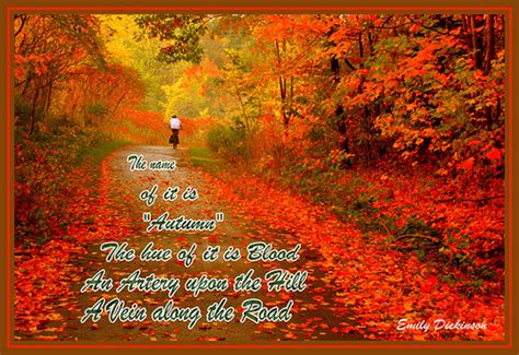 Autumn Sayings Funny Quotes. QuotesGram