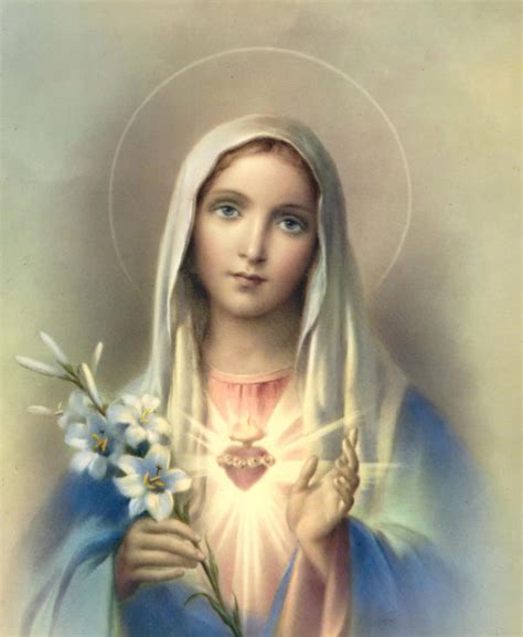 Ave Maria, Mãe de Deus « Paróquia Nossa Senhora do Brasil