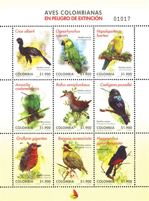 Aves colombianas en peligro de extinción | www.4 72.com.co