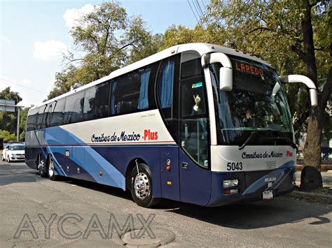 AYCAMX   Autobuses y Camiones México : Autobuses Foráneos ...