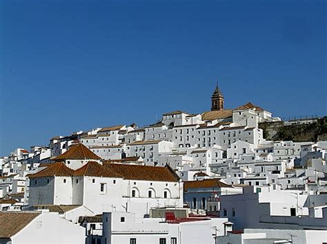 Ayuntamiento de Alcala De Los Gazules