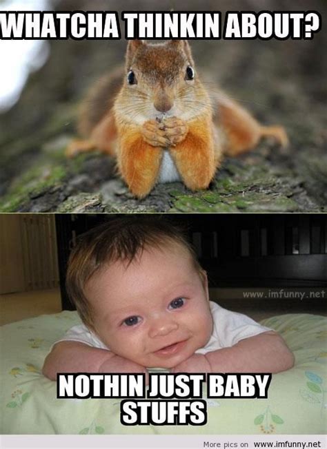 Baby Animal Funny Quotes. QuotesGram