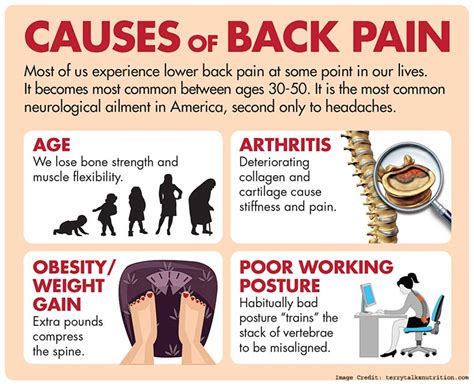 Back Pain: Causes, Symptoms, and Treatment to Reduce Back Pain