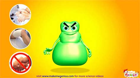 Bacteria for Kids   Animation Video   YouTube