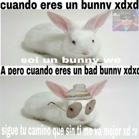 Bad Bunny – Guazones