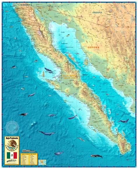 Baja California Wall Map by Compart Maps