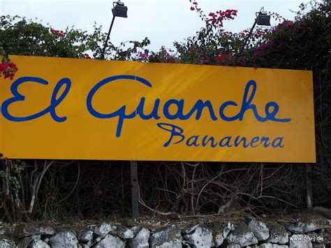 Bananera El Guanche closed for good   Tenerife Guide