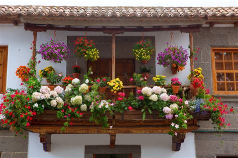 BANCO DE IMÁGENES: Flores de colores en la fachada de una ...