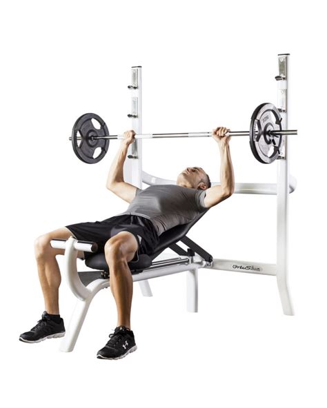 Bancos de Musculación Nerea para el Gimnasio   Ortus Fitness
