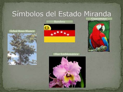 Bandera Del Estado Miranda Venezuela images