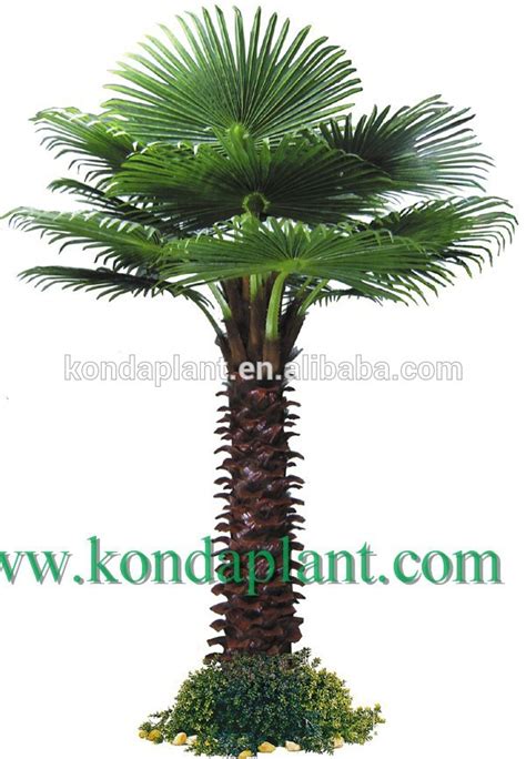 Barato gran árbol artificial, Pino artificial palmeras ...