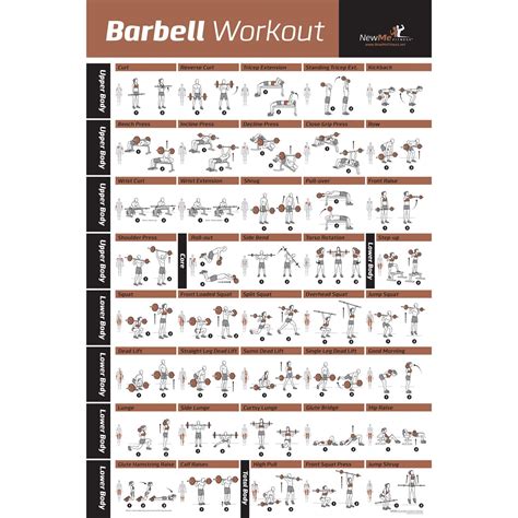 BARBELL WORKOUT EXERCISE POSTER LAMINATED   Home Gym ...