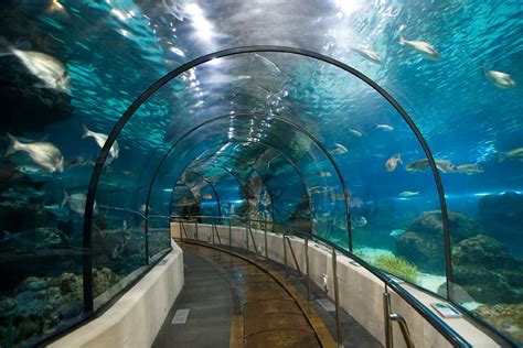 Barcelona Aquarium | Family fun in Barcelona