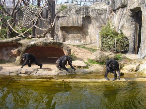 Barcelona Zoo 2 for 1 or discount vouchers