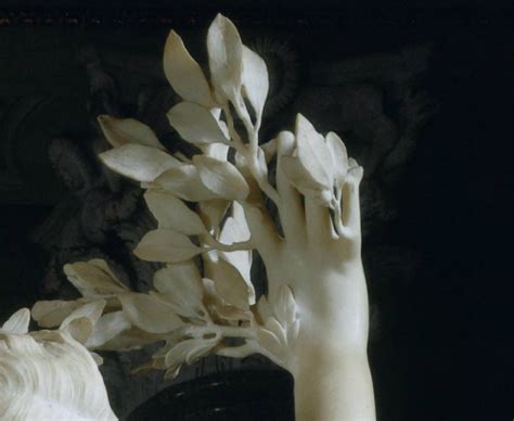 baroque detail bernini apollo and daphne marble sculpture ...