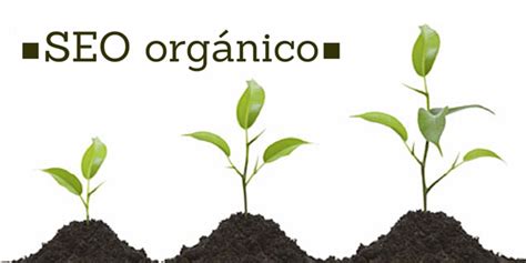 Básicos  on site  del SEO orgánico | Rincón Creativo