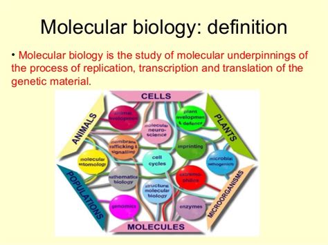 BASICS OF MOLECULAR BIOLOGY