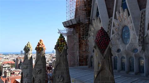 Basilica de la Sagrada Familia   quick tour including ...