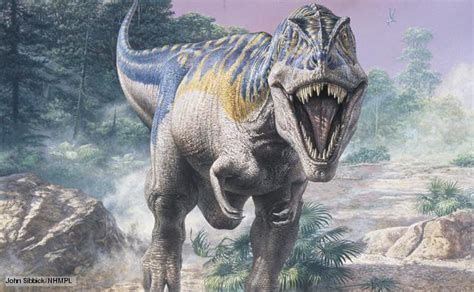 BBC Nature   Tyrannosaurus rex videos, news and facts