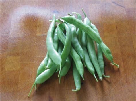 Bean Seeds   Urban Farmer