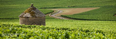 Beaune, capital de vinos de Borgoña
