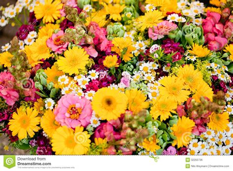 Beautiful Colorful Collection Of Flowers Spring Summer ...