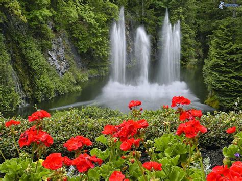 Beautiful Nature Images: Waterfall With Flowers ...