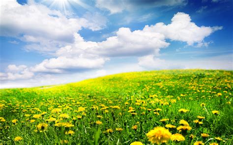 Beautiful Spring Landscapes Wallpapers | www.imgkid.com ...