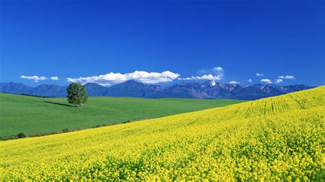 Beautiful Spring Landscapes Wallpapers | www.imgkid.com ...