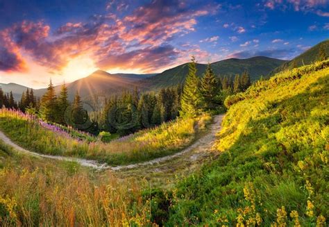 Beautiful summer landscape in the mountains with pink ...