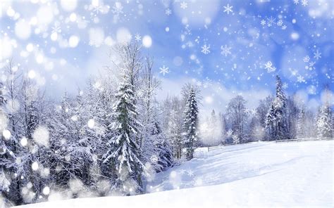 Beautiful winter landscape by Copyright: Volodymyr Burdiak ...