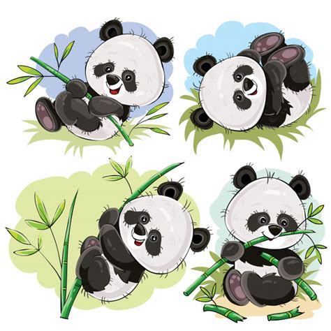 Bebé oso panda juguetón con vector de dibujos animados de ...