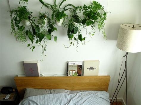 Bedroom | | Plants: Hanging | Pinterest