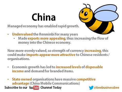 Bee Business Bee China General Information Presentation ...