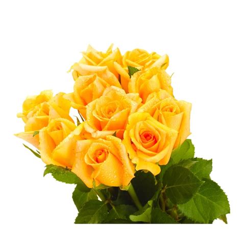 BÉLGICA   Bouquet con 12 Rosas Amarillas   Bélgica   Donde ...