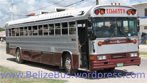 Belize Bus and Travel Guide | Belize Bus Schedules ...